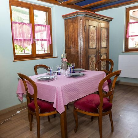 Origin'Alsace Apartment Kaysersberg-Vignoble Luaran gambar